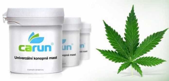 Cannabis terapeutica ceca arriva nelle farmacie, più economica di quella olandese