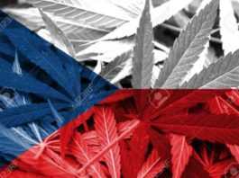 Quanta e quale droga si può detenere a Praga e in Repubblica Ceca?