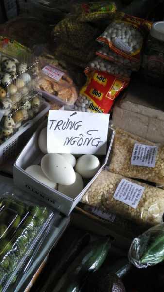 TTTM Sapa, la piccola Hanoi di Praga: lo sterminato mercato vietnamita e non solo