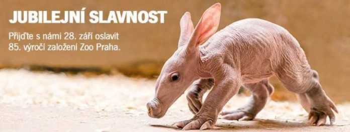 14265037_10153661387402581_1086421900505617415_n Lo zoo di Praga compie 85 anni