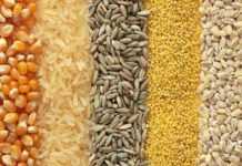 Celiaci a Praga: dove mangiare gluten-free Celiaci a Praga: dove mangiare gluten-free