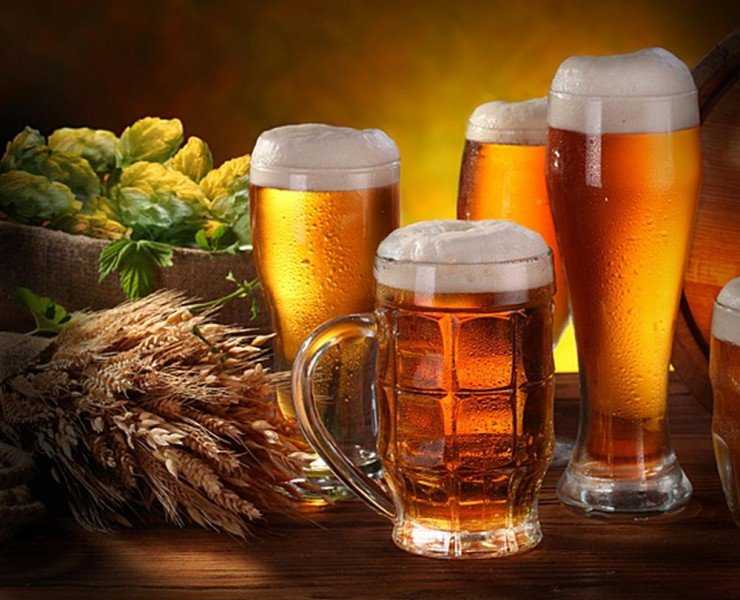 Repubblica Ceca: cala il consumo di birra settimanale iva sulla birra
