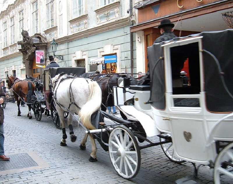 Carrozze a cavalli a Praga